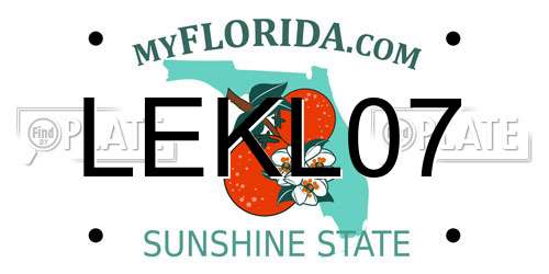 LEKL07 Florida License Plate