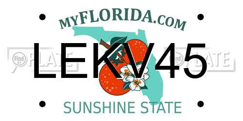 LEKV45 Florida License Plate