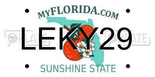 LEKY29 Florida License Plate