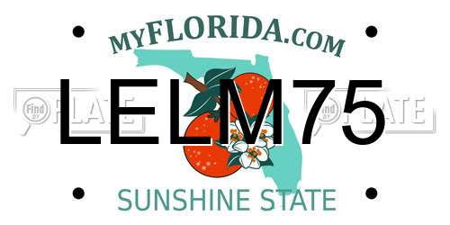 LELM75 Florida License Plate