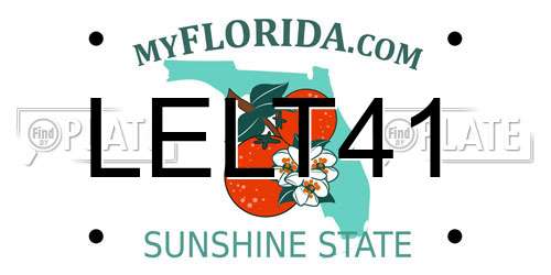 LELT41 Florida License Plate