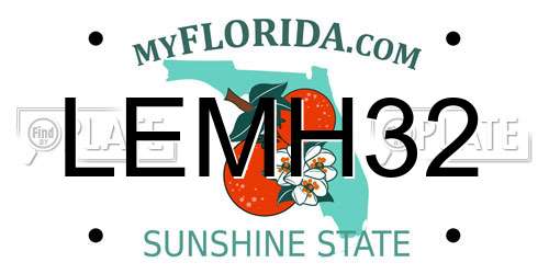 LEMH32 Florida License Plate