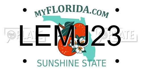 LEMJ23 Florida License Plate