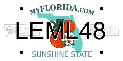 LEML48 Florida License Plate