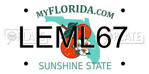 LEML67 Florida License Plate