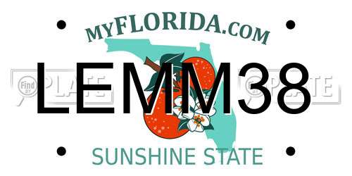 LEMM38 Florida License Plate