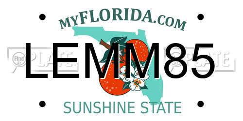 LEMM85 Florida License Plate