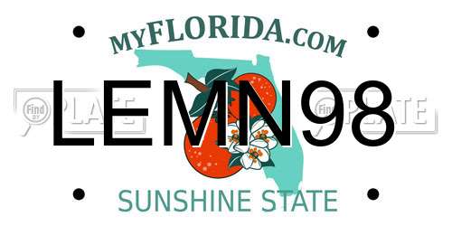 LEMN98 Florida License Plate
