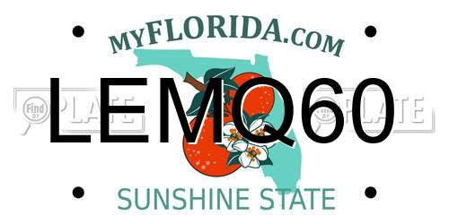 LEMQ60 Florida License Plate