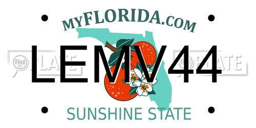 LEMV44 Florida License Plate