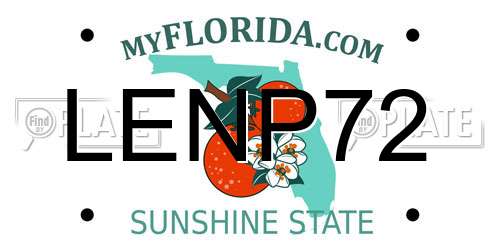 LENP72 Florida License Plate