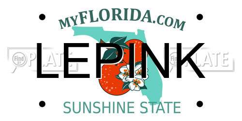 LEPINK Florida License Plate
