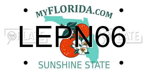 LEPN66 Florida License Plate