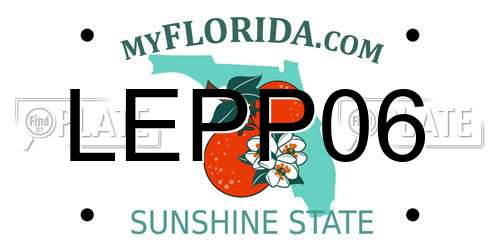 LEPP06 Florida License Plate