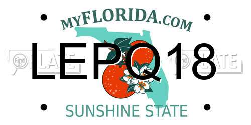 LEPQ18 Florida License Plate