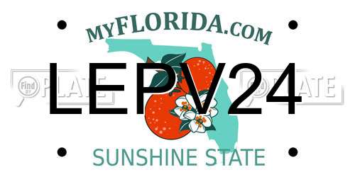 LEPV24 Florida License Plate