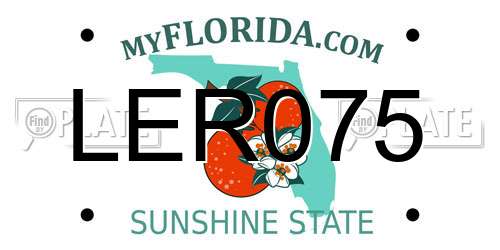 LER075 Florida License Plate