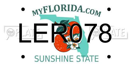 LER078 Florida License Plate