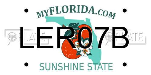 LER07B Florida License Plate