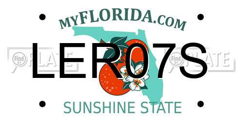 LER07S Florida License Plate