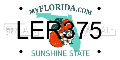 LER375 Florida License Plate