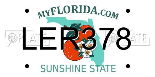 LER378 Florida License Plate