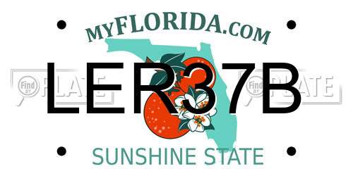 LER37B Florida License Plate