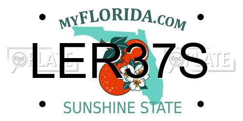 LER37S Florida License Plate