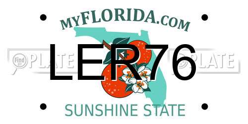 LER76 Florida License Plate