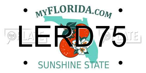 LERD75 Florida License Plate