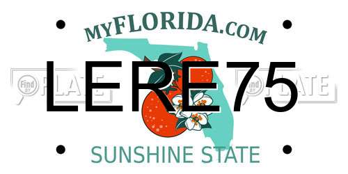 LERE75 Florida License Plate