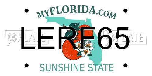 LERF65 Florida License Plate