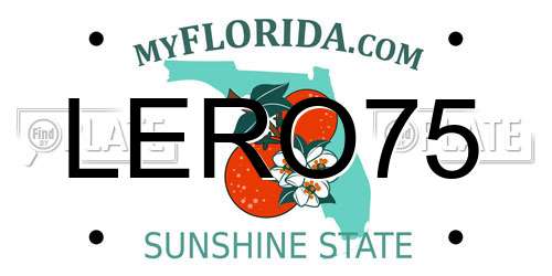 LERO75 Florida License Plate