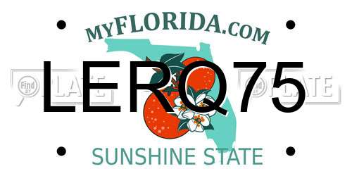 LERQ75 Florida License Plate