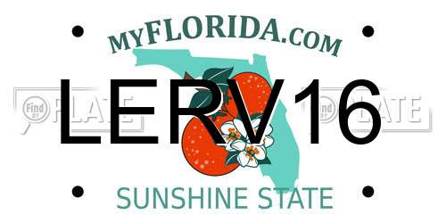 LERV16 Florida License Plate