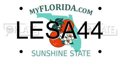 LESA44 Florida License Plate