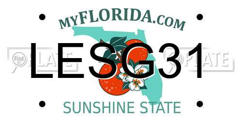 LESG31 Florida License Plate