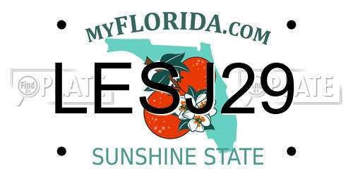 LESJ29 Florida License Plate