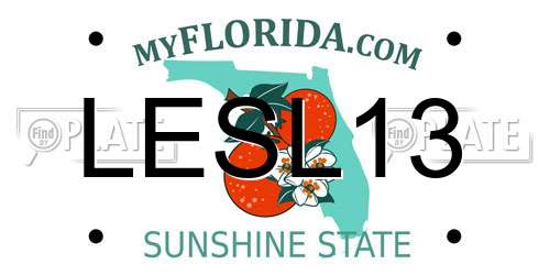 LESL13 Florida License Plate