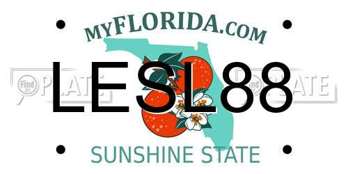 LESL88 Florida License Plate