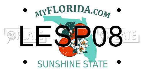 LESP08 Florida License Plate