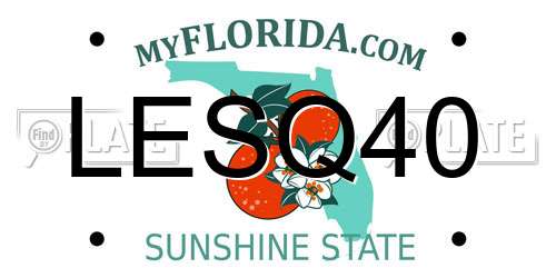 LESQ40 Florida License Plate