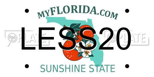 LESS20 Florida License Plate