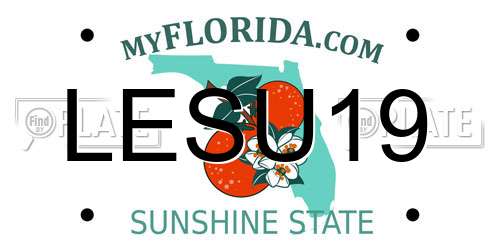 LESU19 Florida License Plate