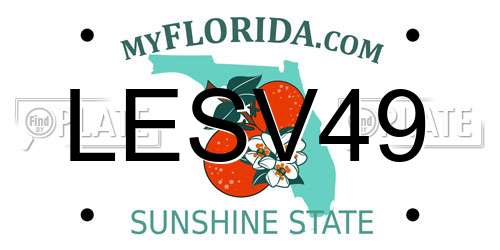 LESV49 Florida License Plate