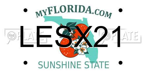 LESX21 Florida License Plate