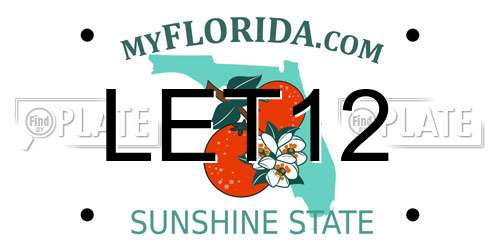 LET12 Florida License Plate