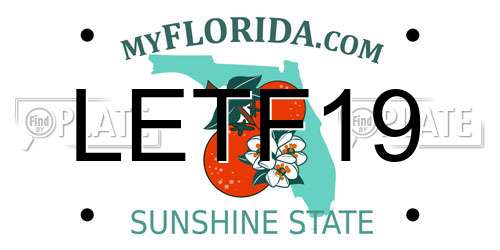 LETF19 Florida License Plate