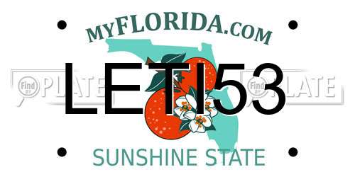 LETI53 Florida License Plate