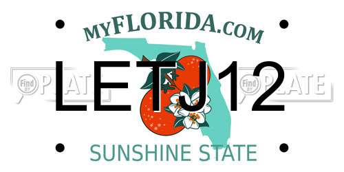 LETJ12 Florida License Plate